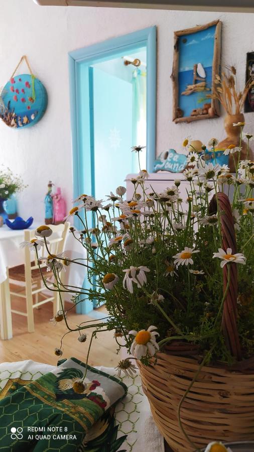 Socrates Sea View Apartment Kampos Marathokampou Екстериор снимка