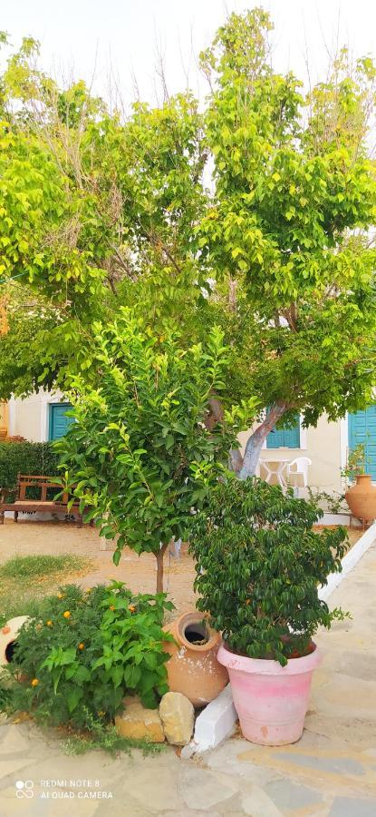 Socrates Sea View Apartment Kampos Marathokampou Екстериор снимка